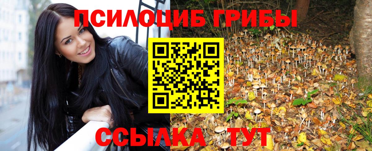 дарнет шоп  Вход с VPN  Берёзовский  Псилоцибиновые грибы ЛСД  Галлюциногенные грибы мухоморы 
